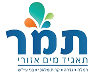 Tamar Regional Water Corp.